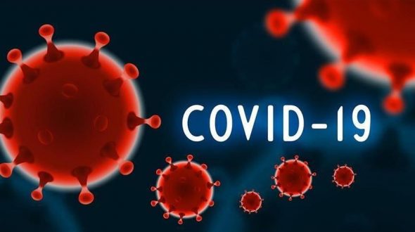 Beginilah Kaitan Antara Pandemi COVID-19 dengan Kerusakan Ekosistem di Alam