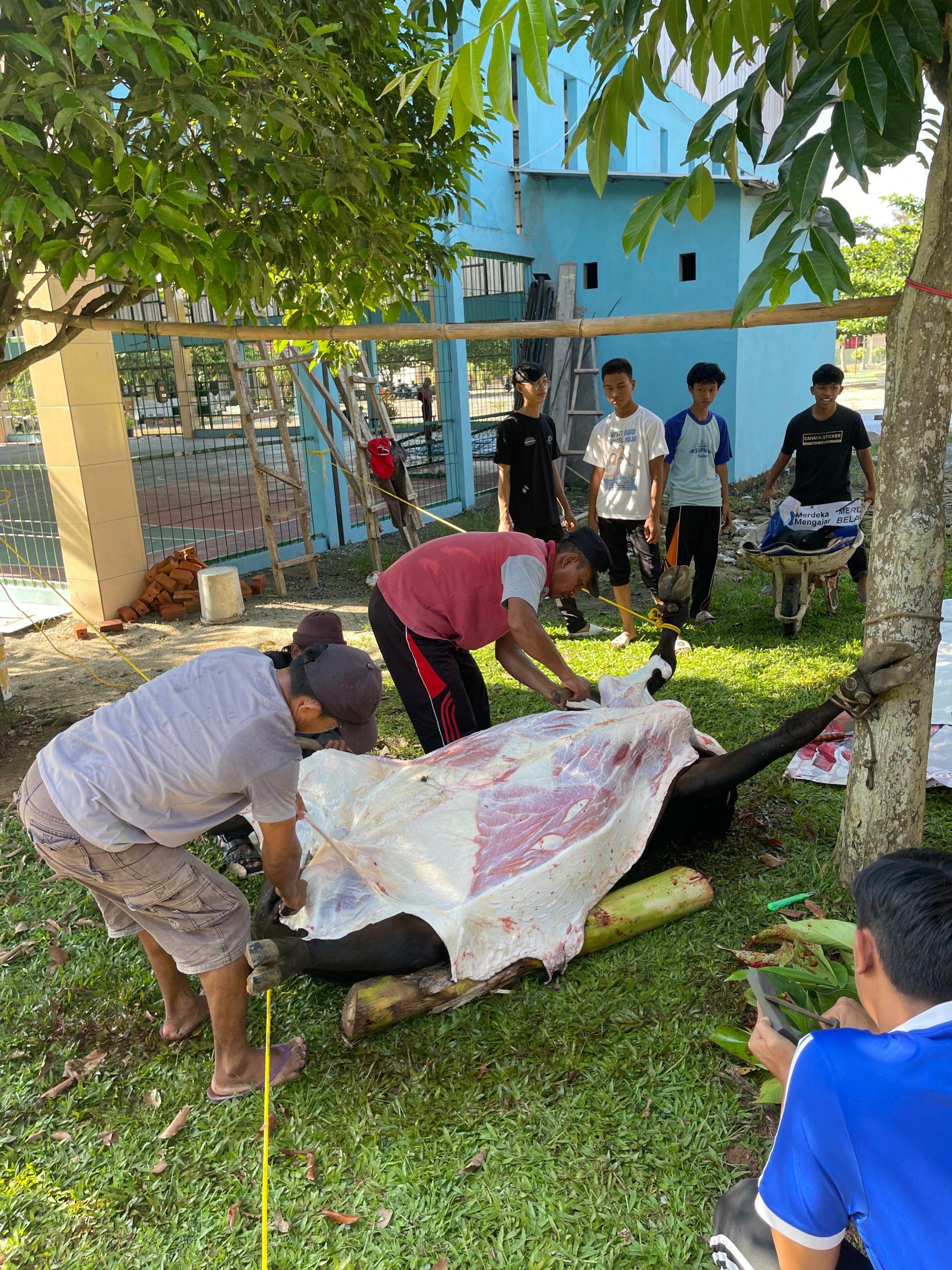 Kurban di SMAN 2 Natar