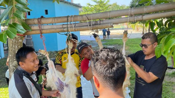 Pemotongan dan Distribusi Hewan Kurban di SMAN 2 Natar