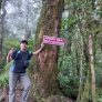 Puncak Ratai Pesawaran Lampung