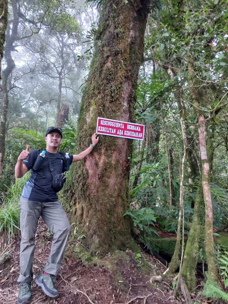 Menapaki Jejak Gunung Berapi Purba “Puncak Ratai” di Ketinggian 1.682 Mdpl